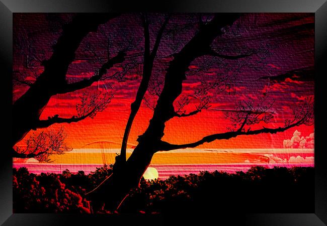 Forest Sunset 03 Framed Print by Glen Allen