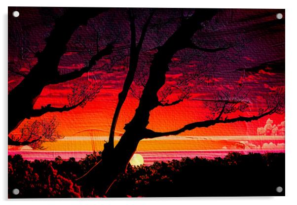 Forest Sunset 03 Acrylic by Glen Allen