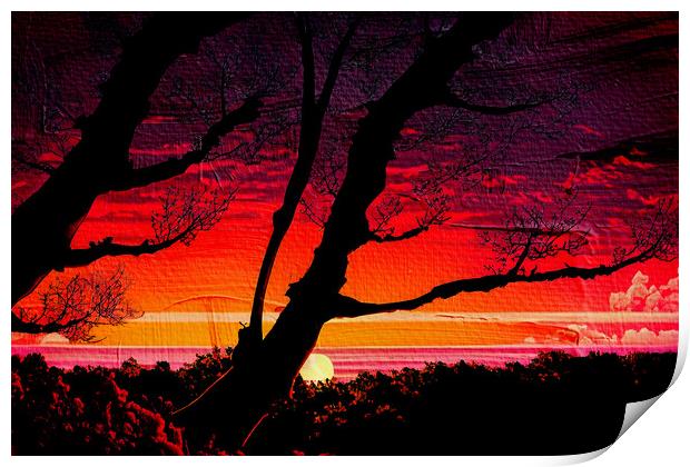 Forest Sunset 03 Print by Glen Allen