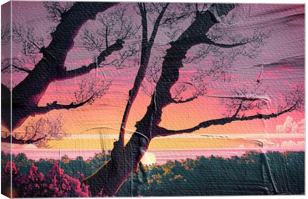 Forest Sunset 04 Canvas Print by Glen Allen
