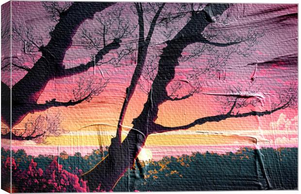 Forest Sunset 05 Canvas Print by Glen Allen