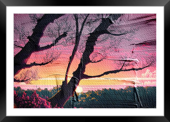 Forest Sunset 05 Framed Mounted Print by Glen Allen