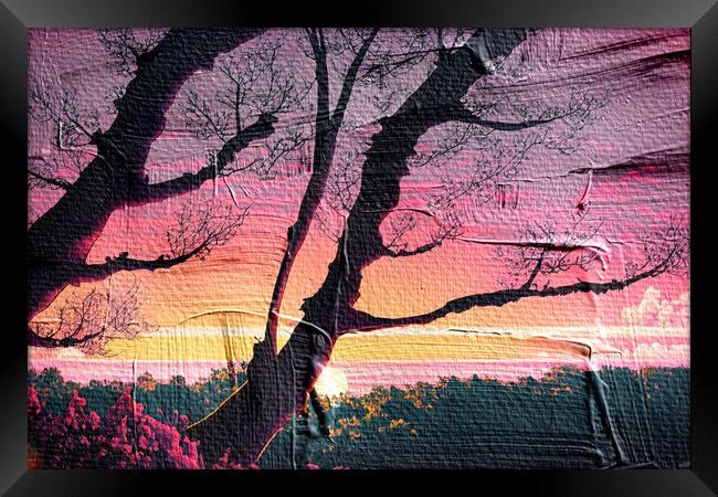 Forest Sunset 05 Framed Print by Glen Allen