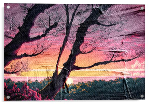 Forest Sunset 05 Acrylic by Glen Allen