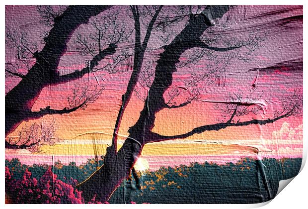 Forest Sunset 05 Print by Glen Allen
