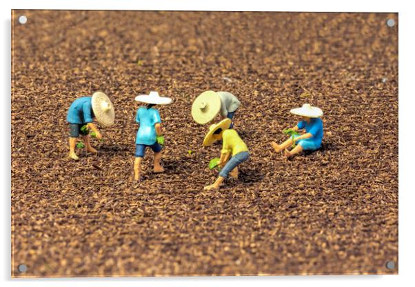 The Magical World of Tiny Rice Farmers Acrylic by Steve Purnell