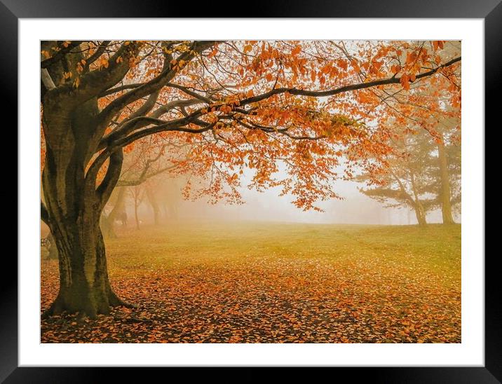 Autumn in Locke Park, Barnsley Framed Mounted Print by Peter Lewis