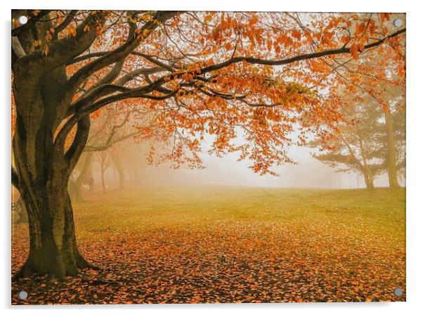 Autumn in Locke Park, Barnsley Acrylic by Peter Lewis