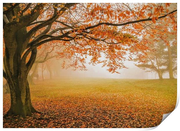 Autumn in Locke Park, Barnsley Print by Peter Lewis