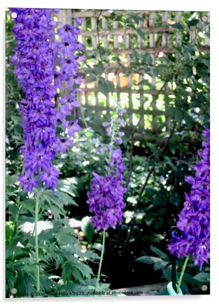More delphiniums Acrylic by Stephanie Moore