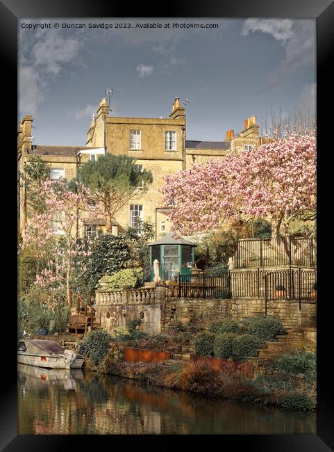 Widcombe Bath in the spring  Framed Print by Duncan Savidge