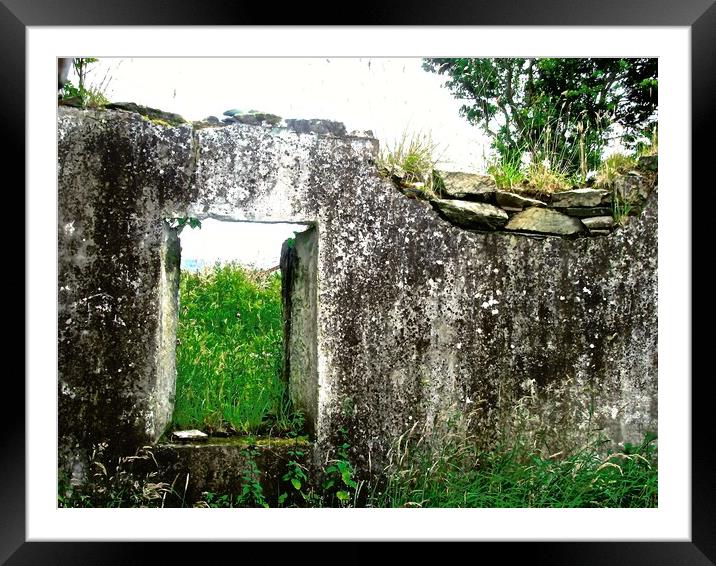Abandoned Irish house Framed Mounted Print by Stephanie Moore