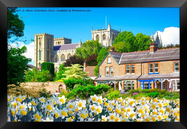 Springtime In Ripon Framed Print by Alison Chambers