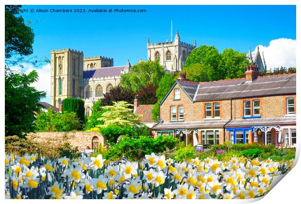 Springtime In Ripon Print by Alison Chambers