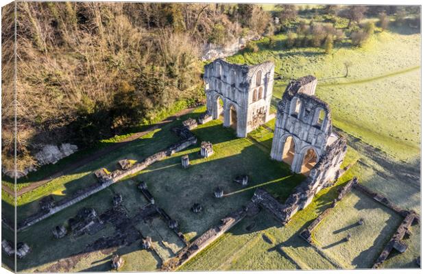 Roche Abbey Canvas Print by Apollo Aerial Photography