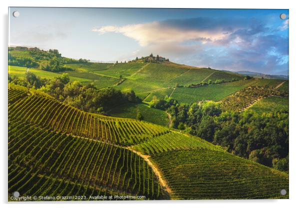 Vineyards on the Langhe hills in the morning, Piedmont, Italy Acrylic by Stefano Orazzini