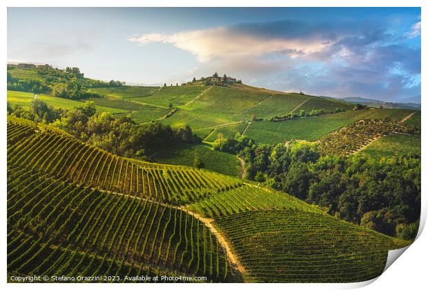 Vineyards on the Langhe hills in the morning, Piedmont, Italy Print by Stefano Orazzini