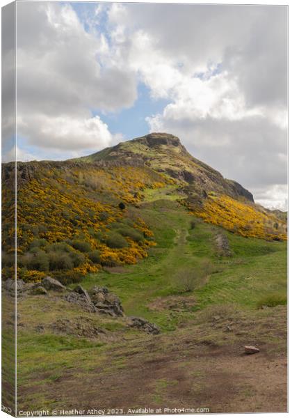 Sunshine of Arthur's Seat Canvas Print by Heather Athey