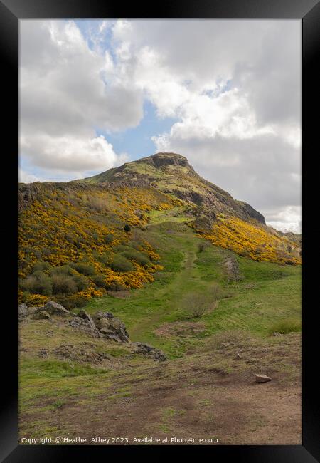 Sunshine of Arthur's Seat Framed Print by Heather Athey
