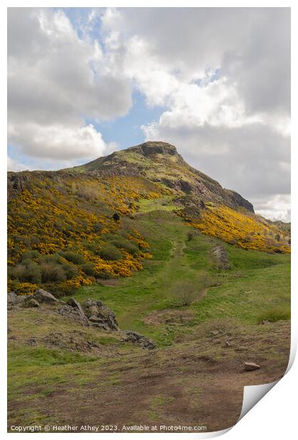 Sunshine of Arthur's Seat Print by Heather Athey