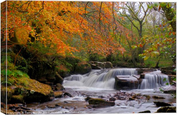 Pont Cwmfedwen Autumn Waterfall Canvas Print by Terry Brooks