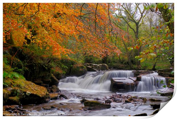 Pont Cwmfedwen Autumn Waterfall Print by Terry Brooks