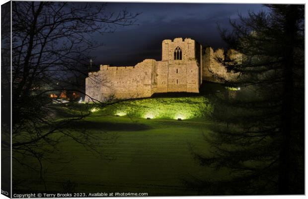 Oystermouth Castle at Night Canvas Print by Terry Brooks