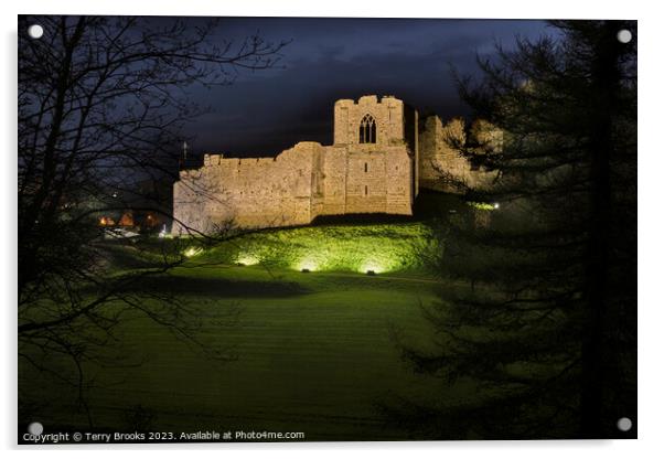 Oystermouth Castle at Night Acrylic by Terry Brooks