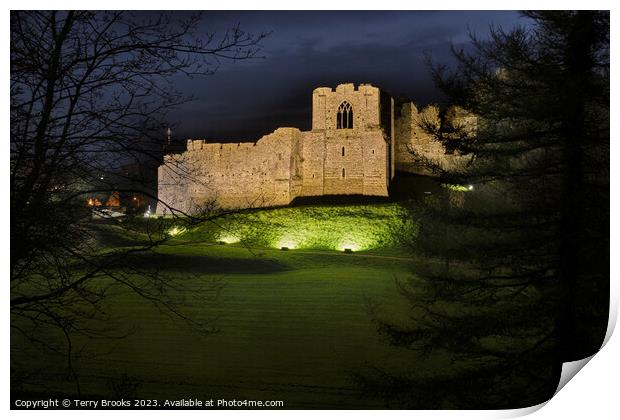 Oystermouth Castle at Night Print by Terry Brooks