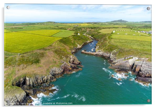 Porthclais Harbour, Aerial View Pembrokeshire, West Wales Acrylic by Terry Brooks