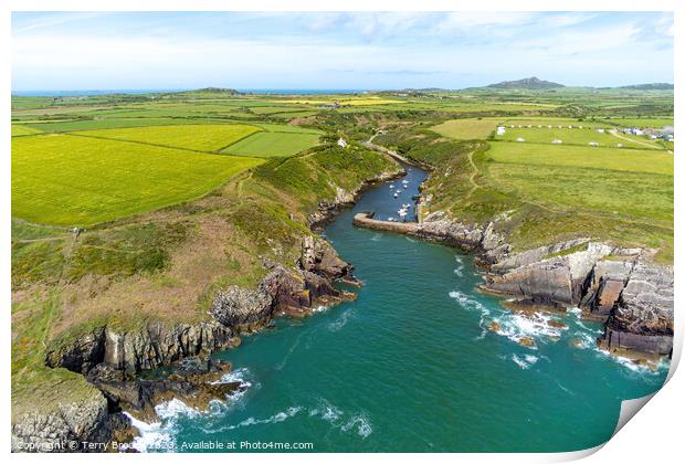 Porthclais Harbour, Aerial View Pembrokeshire, West Wales Print by Terry Brooks