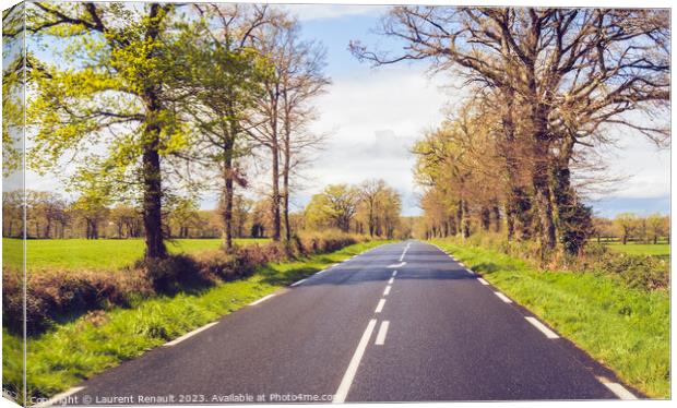 Driving on a rural french country road Canvas Print by Laurent Renault