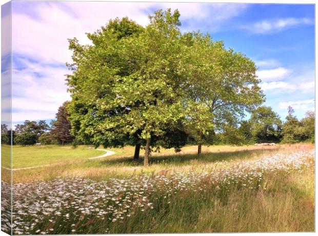 Summer Bliss at Cannon Hall Canvas Print by Peter Lewis