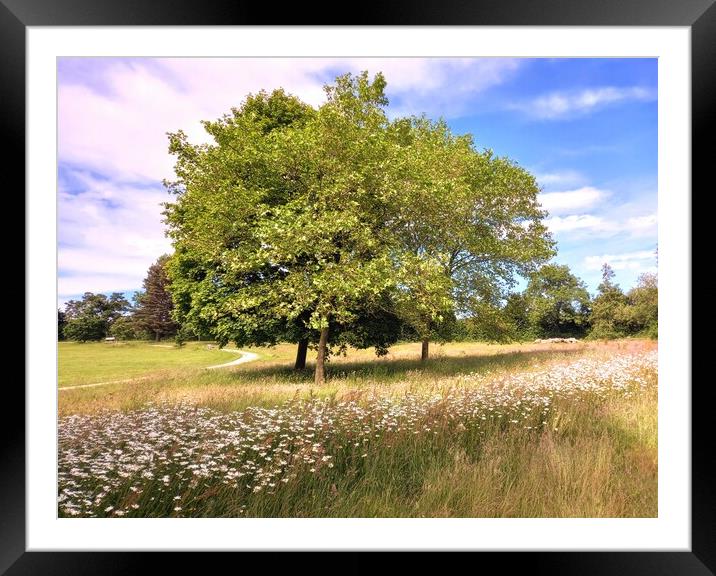 Summer Bliss at Cannon Hall Framed Mounted Print by Peter Lewis