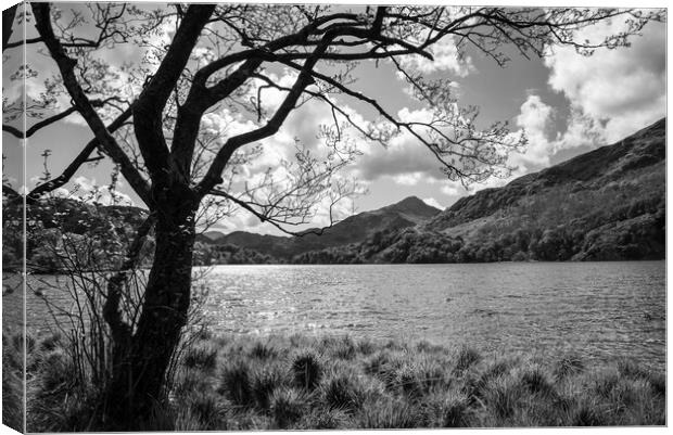 Llyn Gwynant, Snowdonia national park, Wales Canvas Print by Andrew Kearton