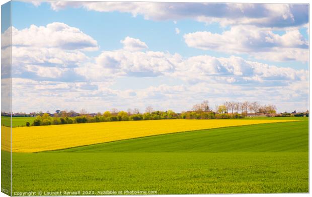 Rural landscape of cultivated fields in Nouvelle-Aquitaine Canvas Print by Laurent Renault
