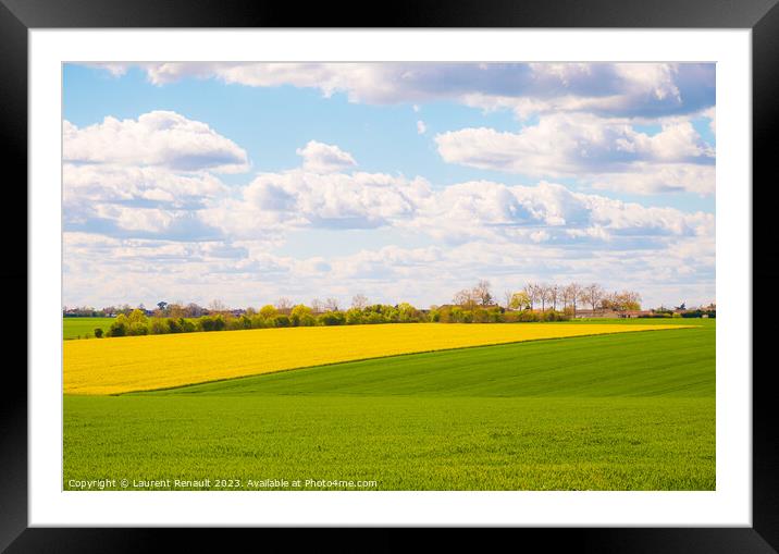 Rural landscape of cultivated fields in Nouvelle-Aquitaine Framed Mounted Print by Laurent Renault