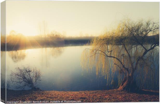 Wheeping willow tree at the pond in France Canvas Print by Laurent Renault