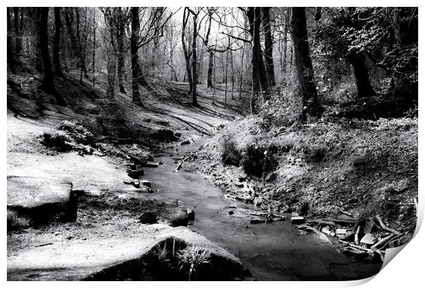 Woodland Stream - Mono Print by Glen Allen
