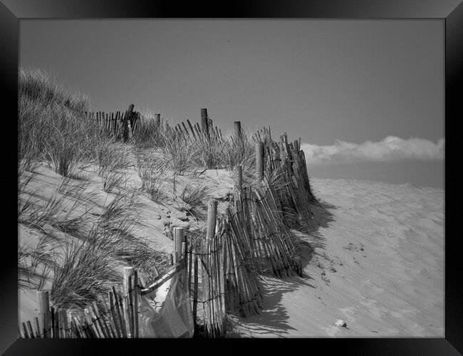 Dunes Framed Print by Victor Burnside