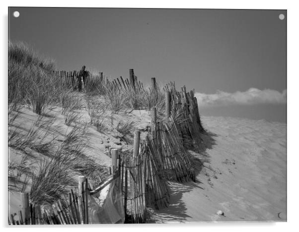 Dunes Acrylic by Victor Burnside
