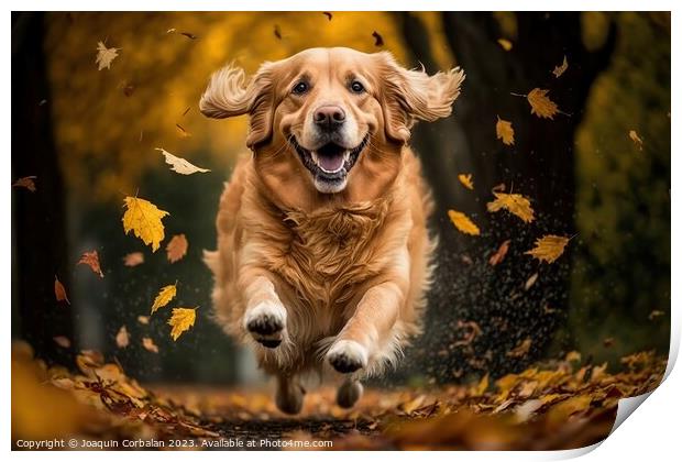 A beautiful golden retriever dog running through t Print by Joaquin Corbalan