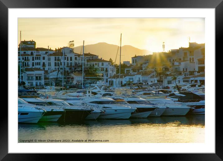 Puerto Banus Framed Mounted Print by Alison Chambers