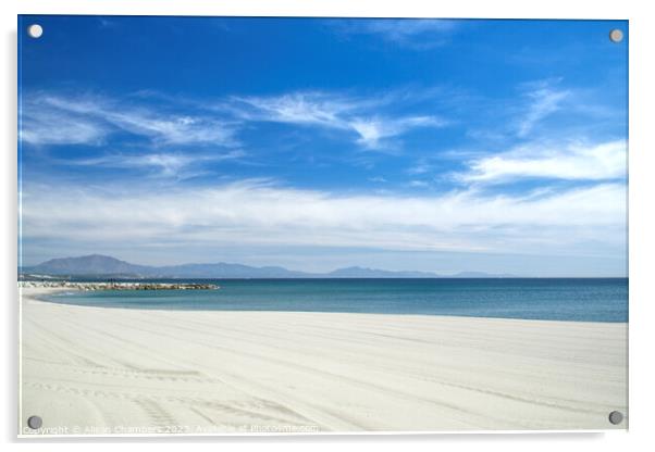 Eastern Beach Gibraltar Acrylic by Alison Chambers