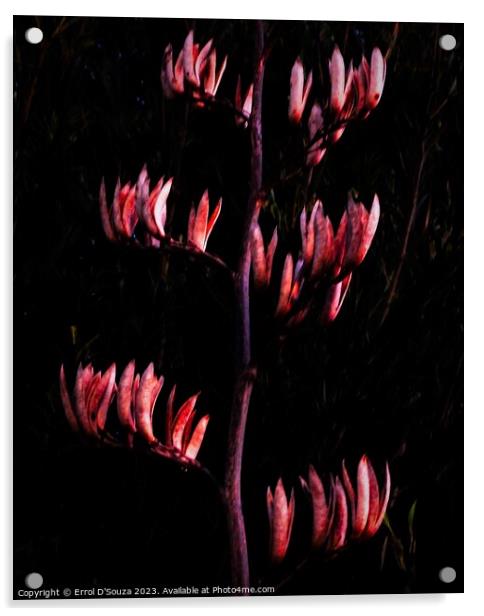New Zealand Flax Flowers and Stems Acrylic by Errol D'Souza