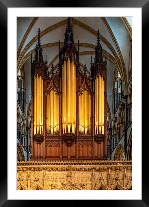 Lincoln Cathedral Framed Mounted Print by Steve Smith