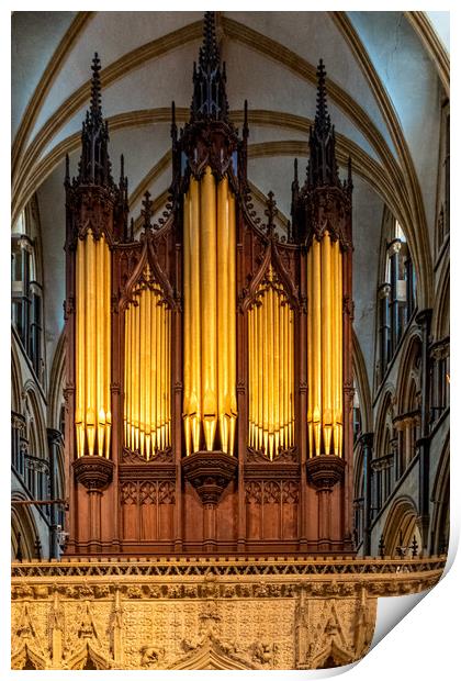 Lincoln Cathedral Print by Steve Smith