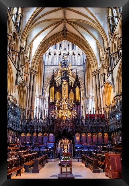 AweInspiring Gothic Masterpiece Framed Print by Tim Hill