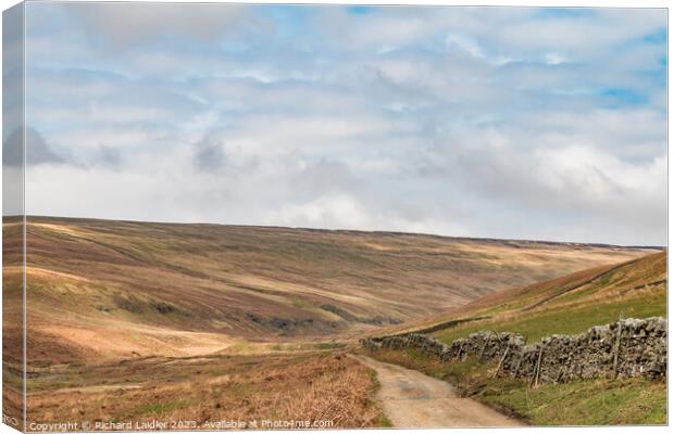 The Hudes Hope, Teesdale, in Early Spring (1) Canvas Print by Richard Laidler