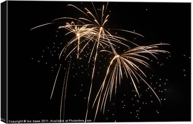A trio of Fireworks Canvas Print by Images of Devon